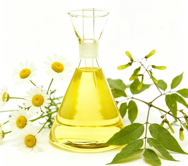 Pyrethrins or Neem Oil Best Natural Solution for Pest Control