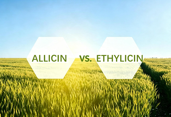 Allicin vs Ethylicin in Agriculture: Key Differences in Mechanism and Performance