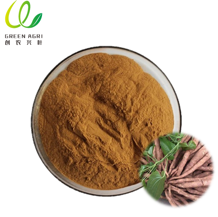 Stemona Japonica Extract Supplier