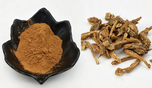 Stemona Japonica Extract